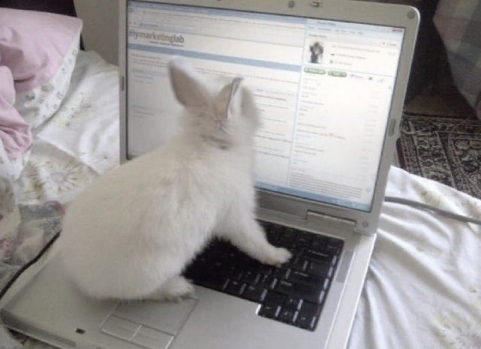 belle ♡ tweet media