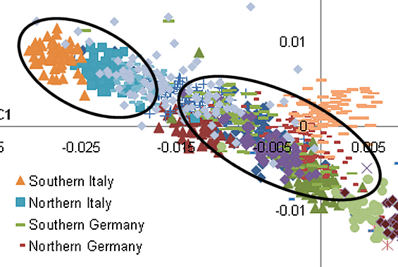 Sommo B 🍊 tweet media
