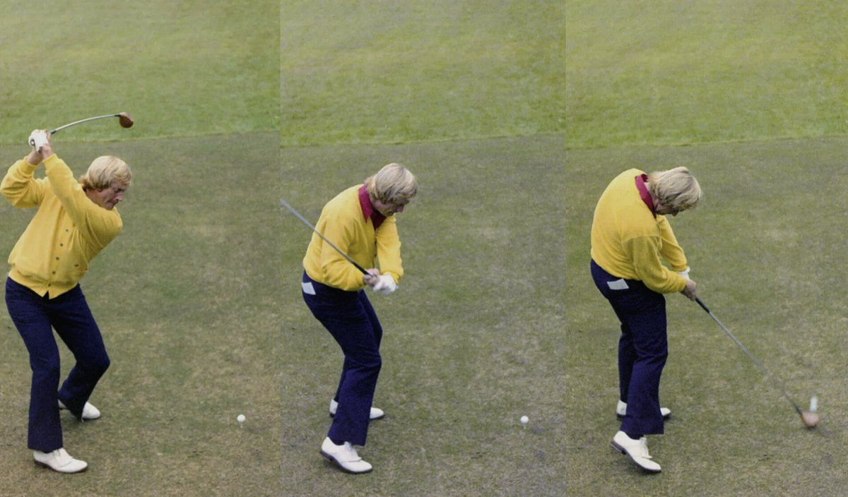 David Poulton tweet media