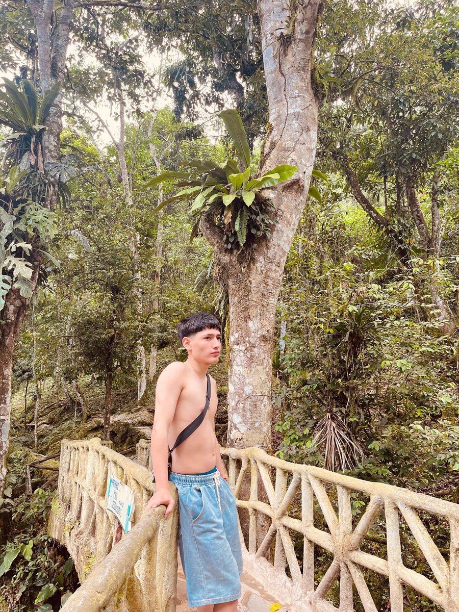 haarh17's tweet photo. #selva 🌴💚 https://t.co/I1UhCiMjcf