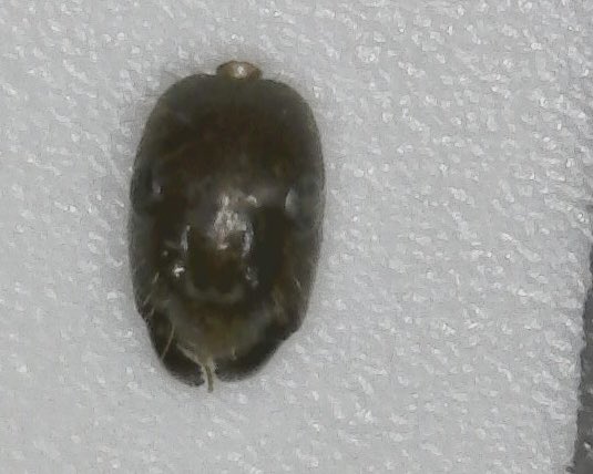 たなべ tweet media