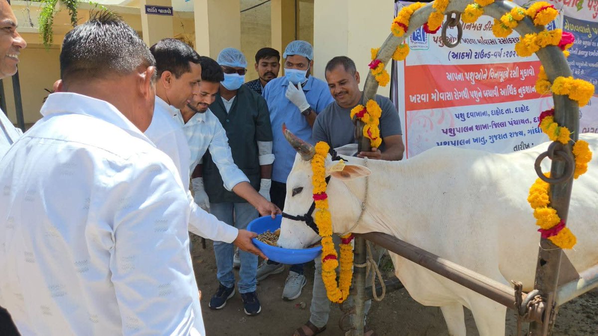 પશુપાલન ખાતુ ગુજરાત રાજ્ય ગાંધીનગર અને આદિજાતિ વિસ્તાર પેટા યોજના દાહોદ ના સહયોગ થી પશુપાલન શાખા વિવિધ યોજનાઓ અન્વયે મંજૂરી હુકમ અને સાધન, સામગ્રી વિતરણ કાર્યક્રમ આજે દાહોદ ખાતે યોજાયો જેમાં ઉપસ્થિત રહી વિવિધ યોજનાના લાભાર્થીઓને મંજૂરી હુકમ તેમજ સાધન, સામગ્રીનું વિતરણ કર્યું.