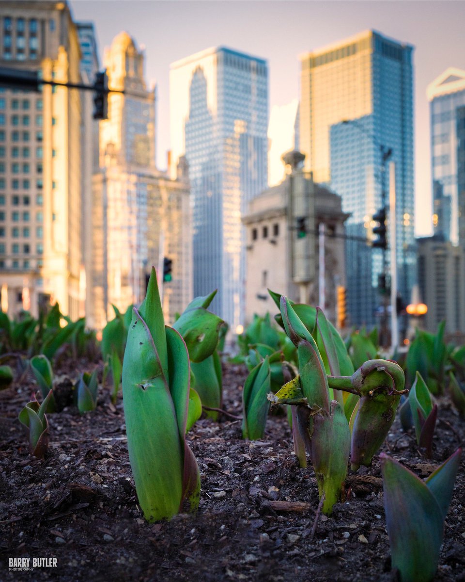 Barry Butler Photography tweet media