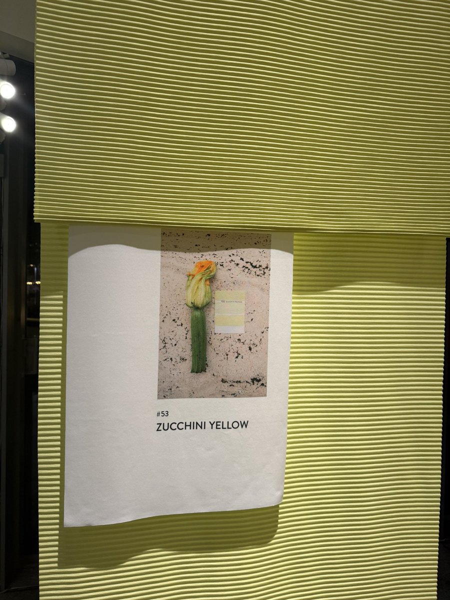 しーな☆イエベ春（キャサリン） tweet media