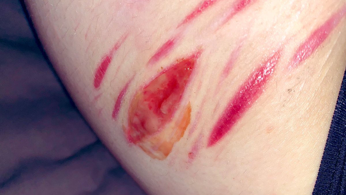 °•Evil Renny•°|Will Byers| tweet media