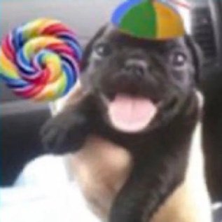 mands🍷 ARIRANG tweet media