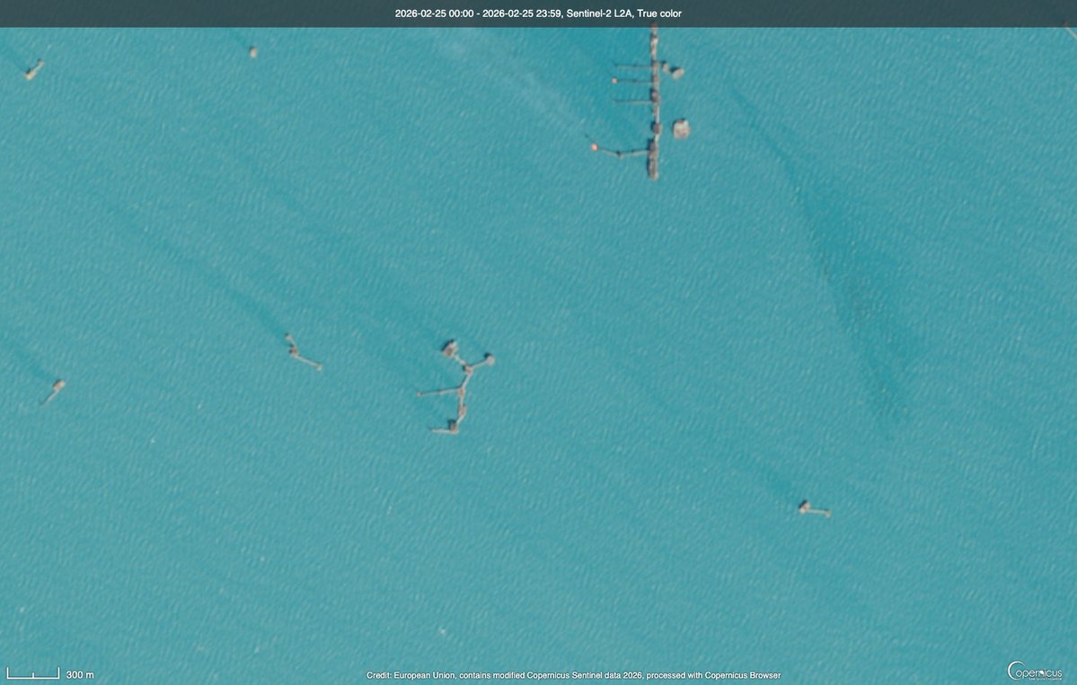 Pandita rojo 🐳 tweet media