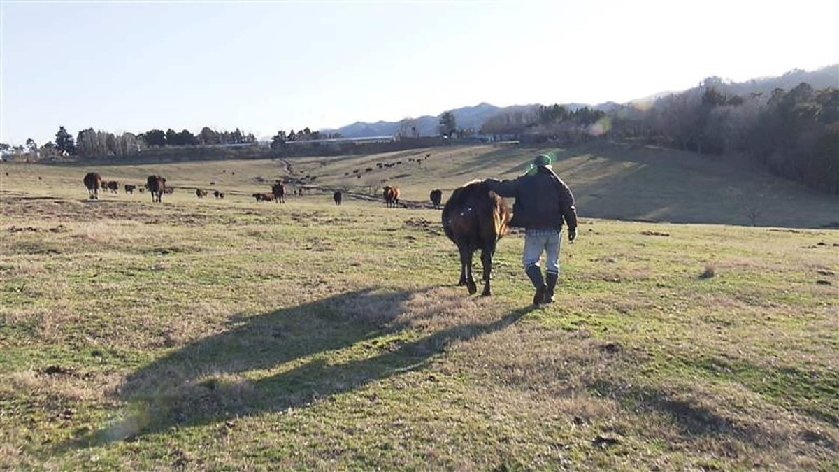 【テレビ】3/29（日）Eテレ 14時30分
こころの時代「185頭と1人 生きる意味を探して 吉沢正巳」（2024）再
福島県浪江町にある希望の牧場。原発事故により出荷できなくなった肉牛を飼い続けている。自らを牛飼いと呼ぶ吉沢正巳が命の意味を問い続ける日々を追う。
buff.ly/SK8nB9I