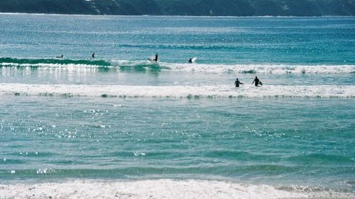 Nature & Human tweet media