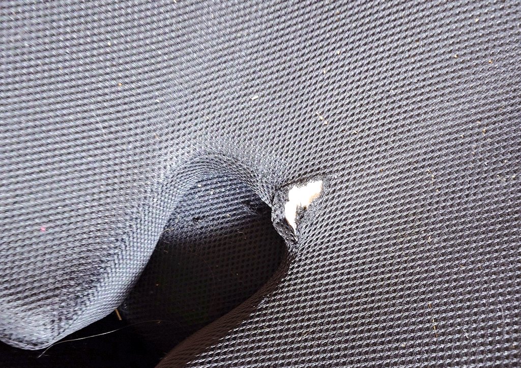 せっちゃんはね、 tweet media