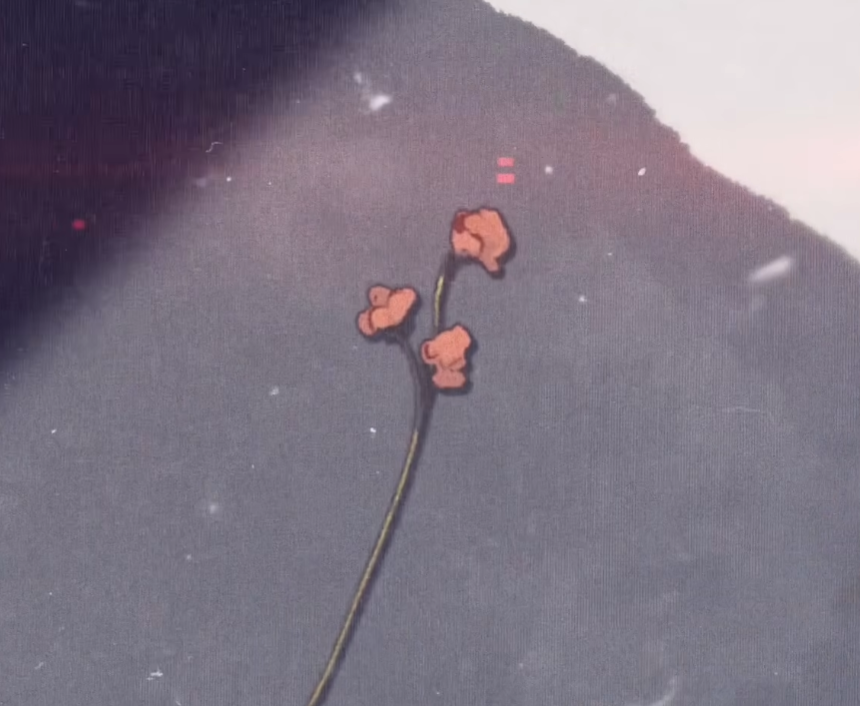 Sara⋆˙⟡ tweet media