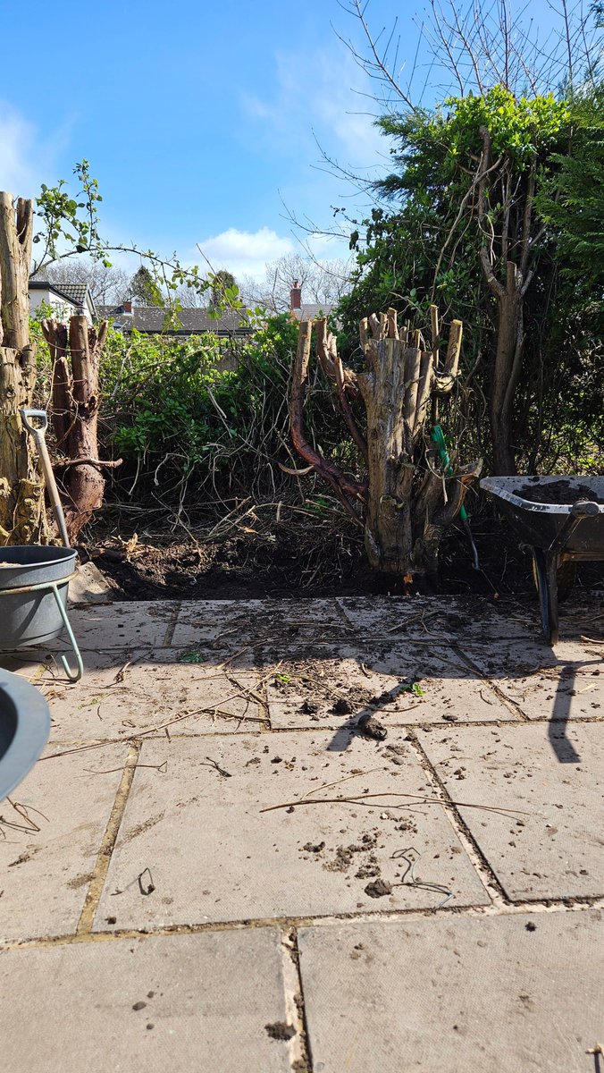 Anita💚✨️ tweet media