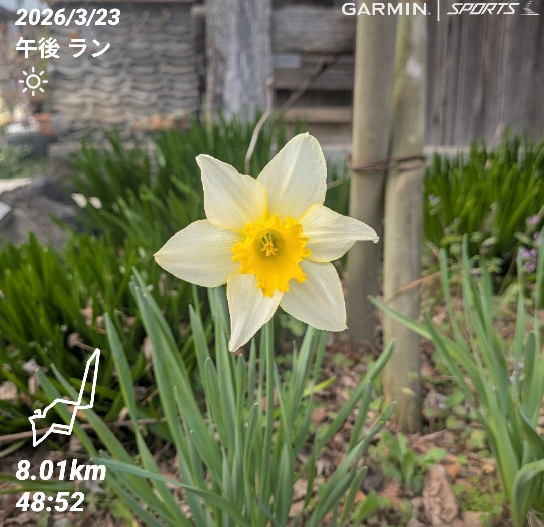 snow@ 4/19かすみがうらマラソン tweet media