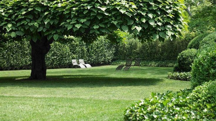 Nature & Human tweet media