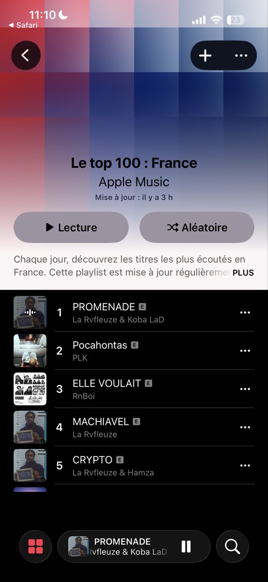 𝐁𝐍 tweet media