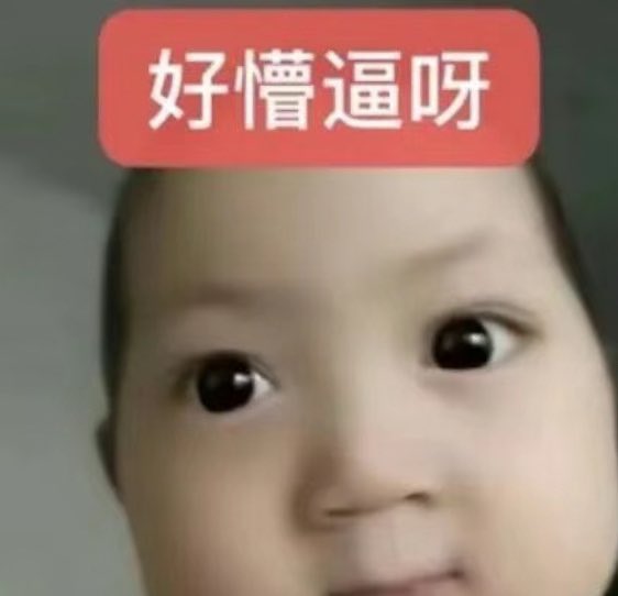 杆墩逆女 tweet media