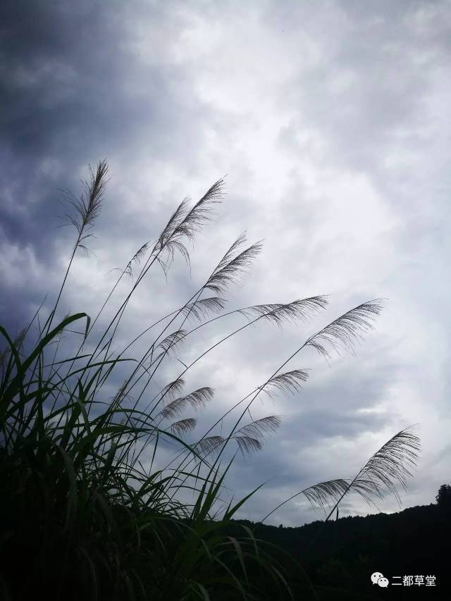 mark bahr tweet media