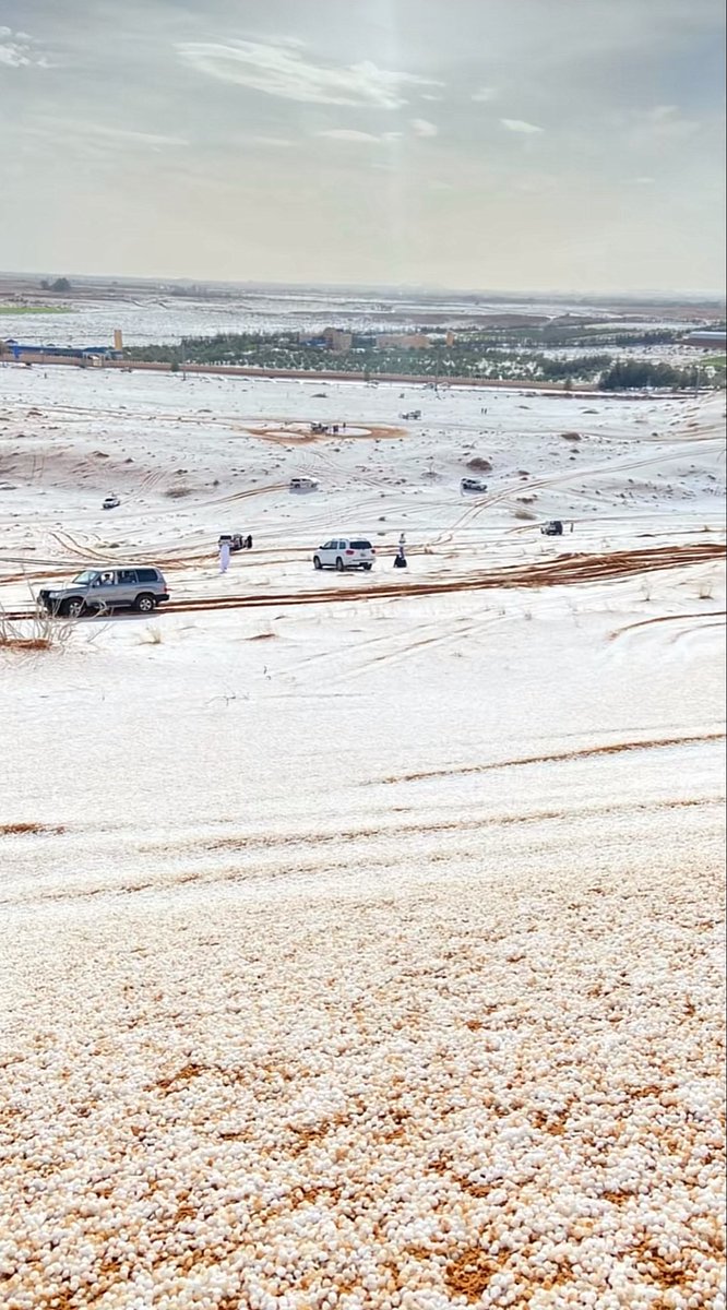 قس بن ساعدة tweet media