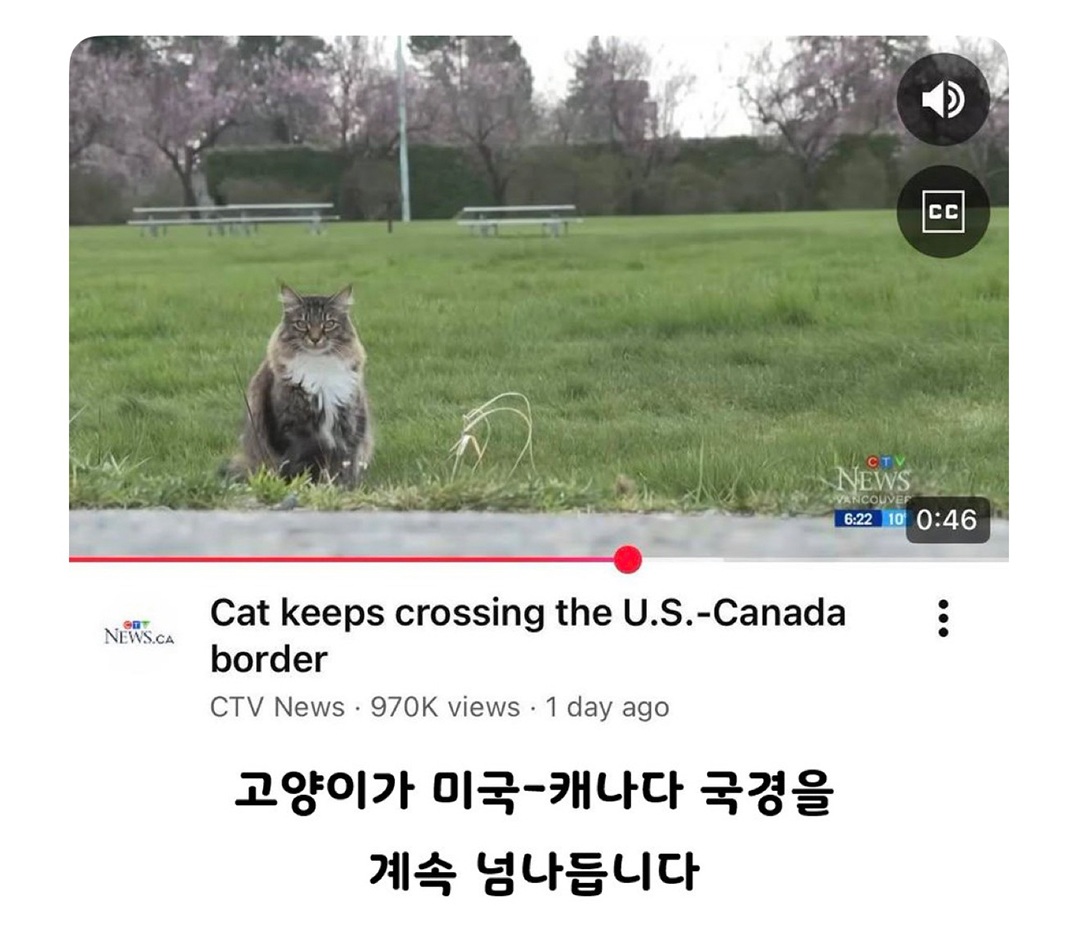 짤주워오는계정 tweet media