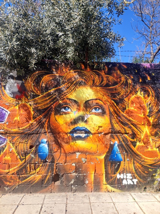 Image.in tweet media