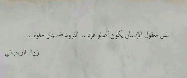 Ziad_Rah's tweet photo. https://t.co/KApk5zgTWB
