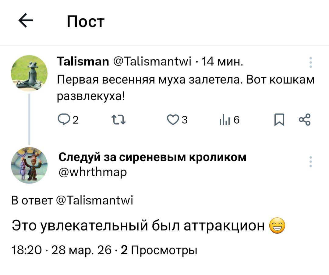 Talisman tweet media