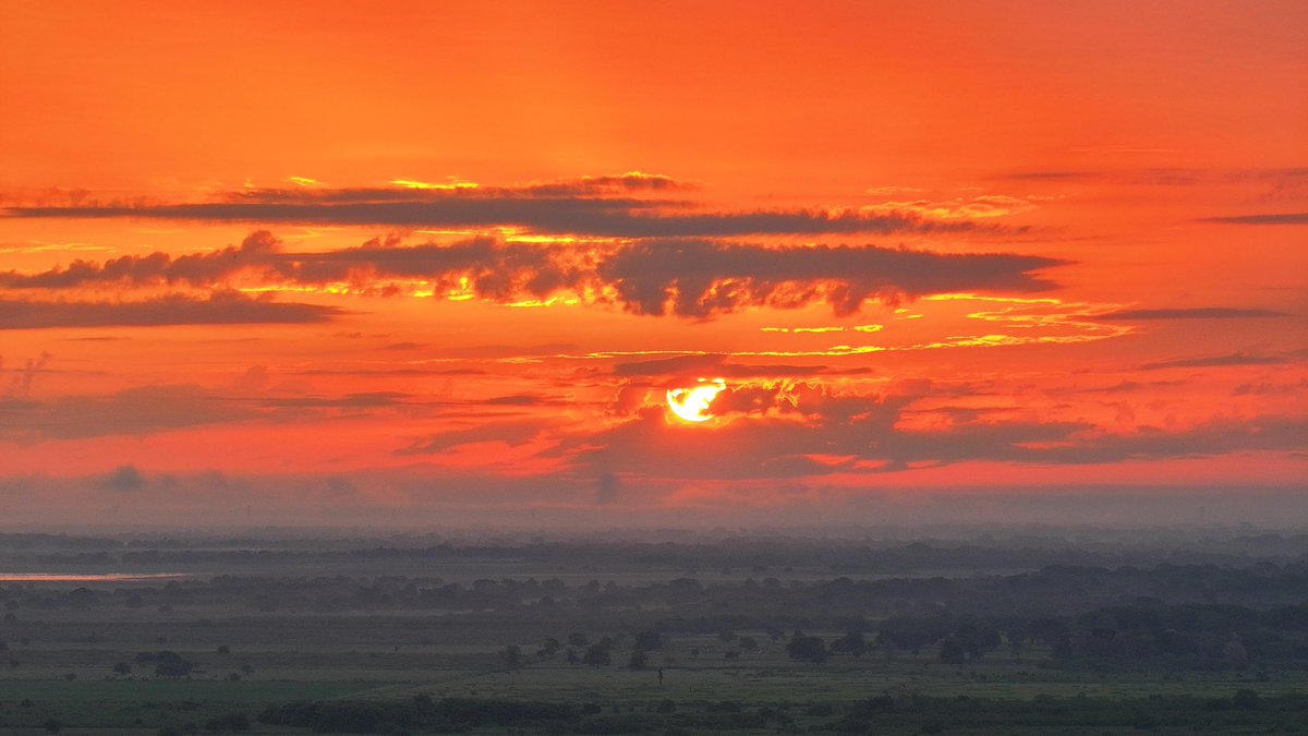 JAVIER MAY tweet media