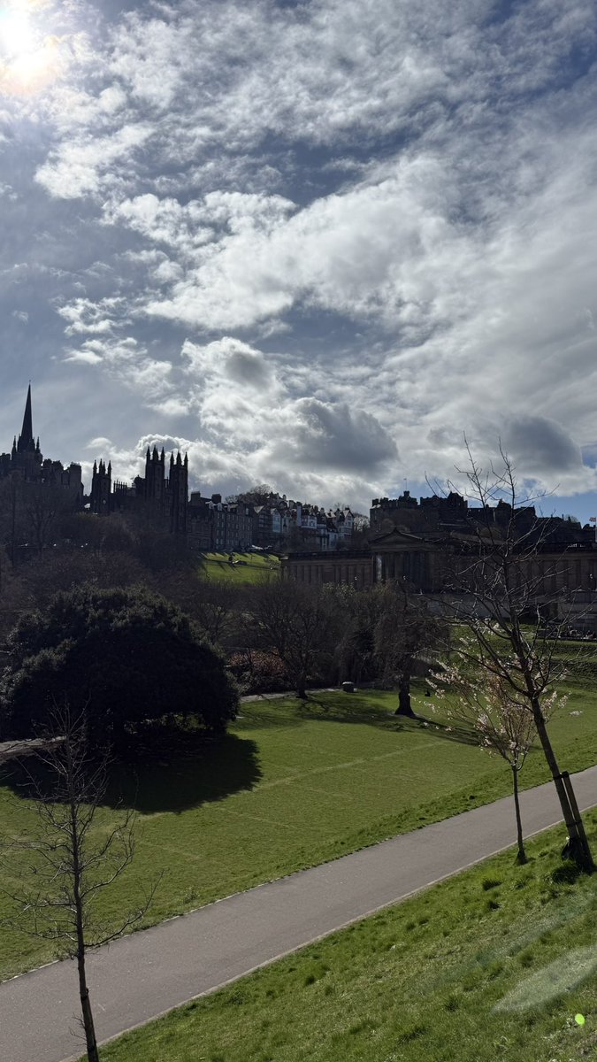 Amy Elise Mercer tweet media