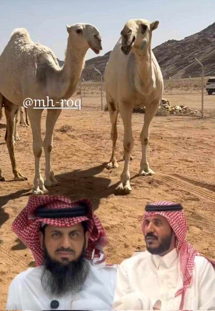 شٓوٓرْديْ tweet media