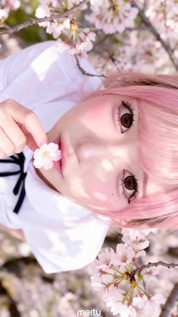 k_m_senyo's tweet photo. めいを桜に囲ませてみた() https://t.co/yjLtKbM5T6