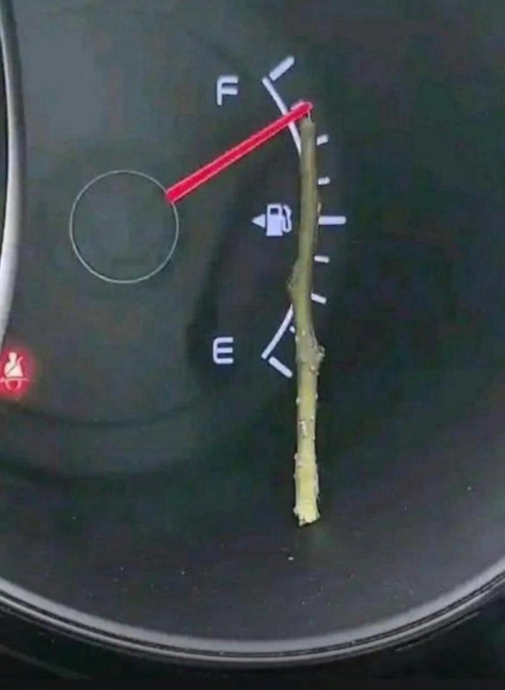 God Is Good tweet media