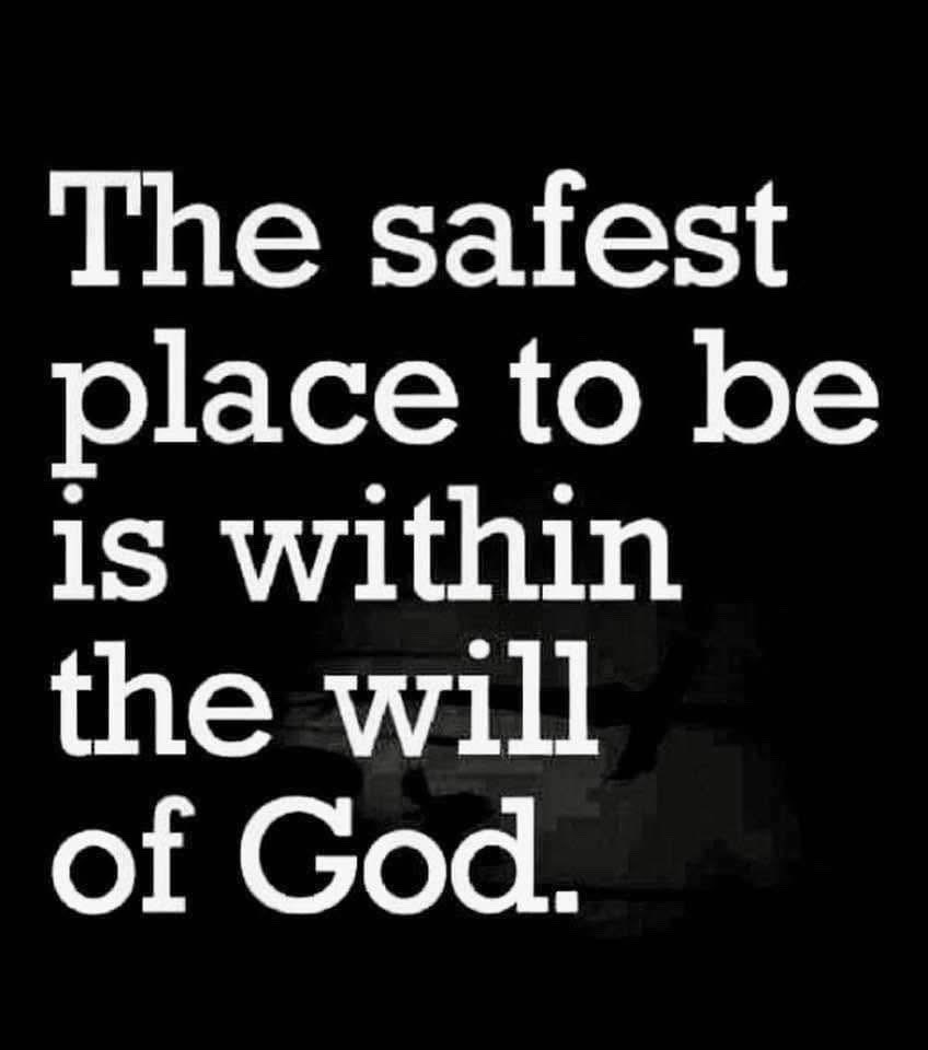 Mark Robinson tweet media