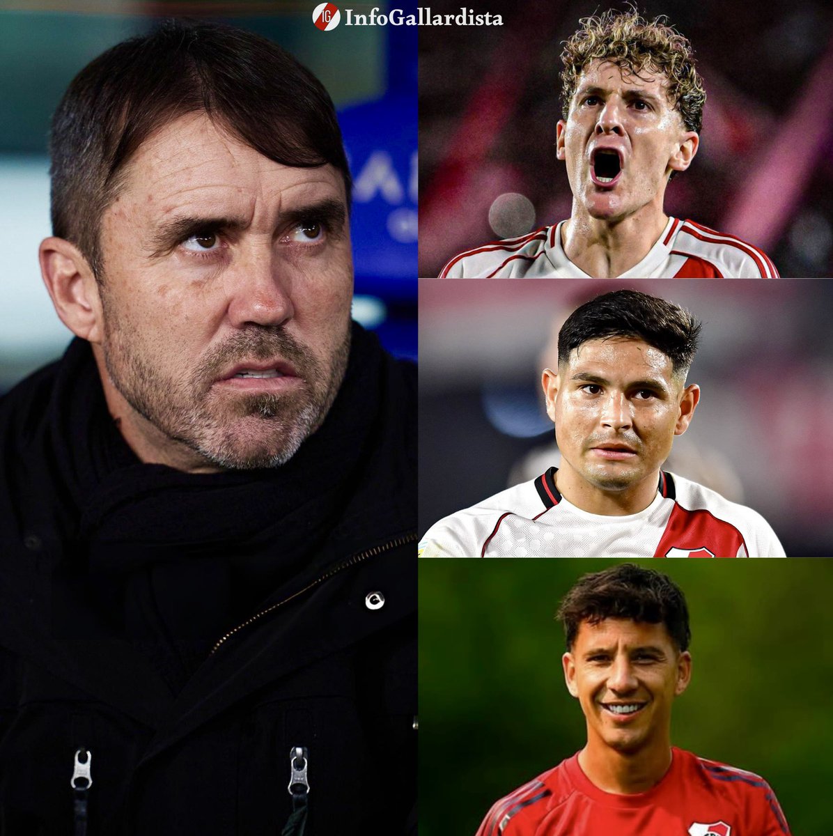 Info Gallardista tweet media