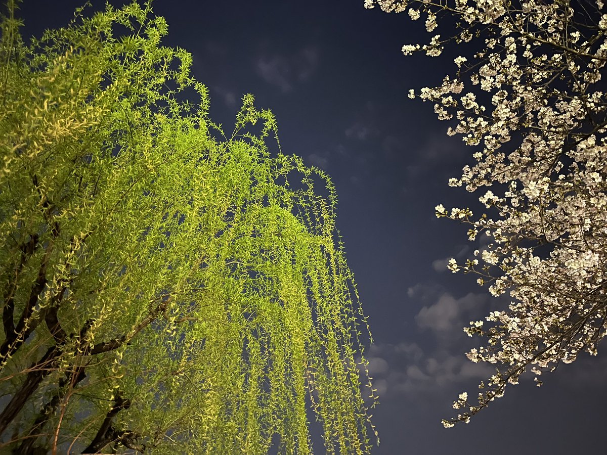 田島泉 tweet media