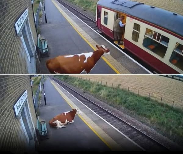 Tanya Narbut🇮🇱🇺🇦 tweet media