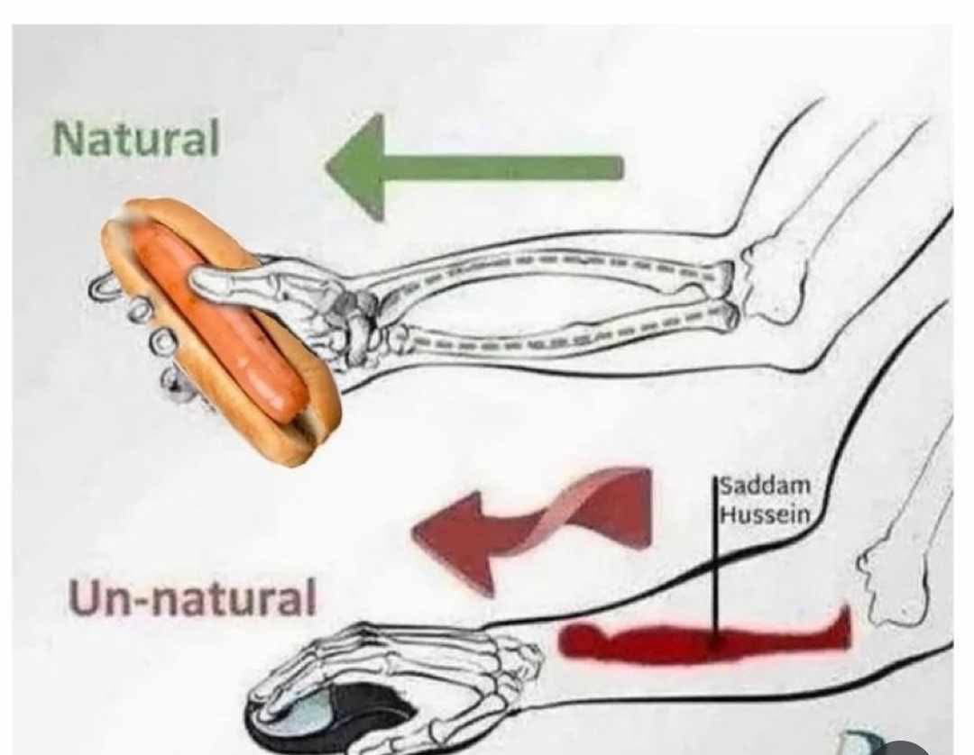 𝔽orms ℝespecter (0/100 bangers) tweet media