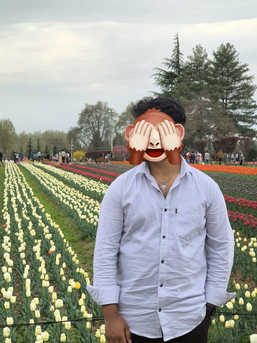 Murphy 🍁🇵🇸 tweet media