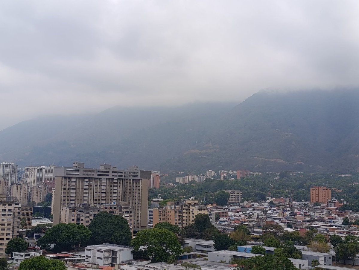 Jose Grasso tweet media