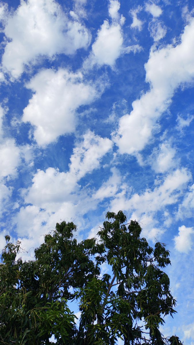 🦋للحگاية بقية 🦋 tweet media