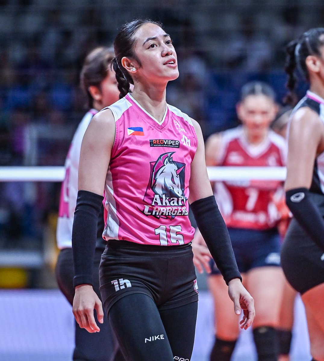 Torey Canino tweet media