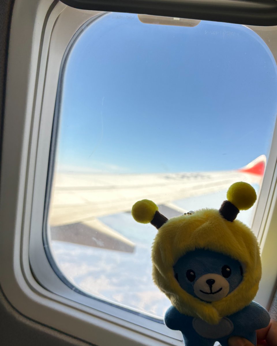 마카롱 tweet media