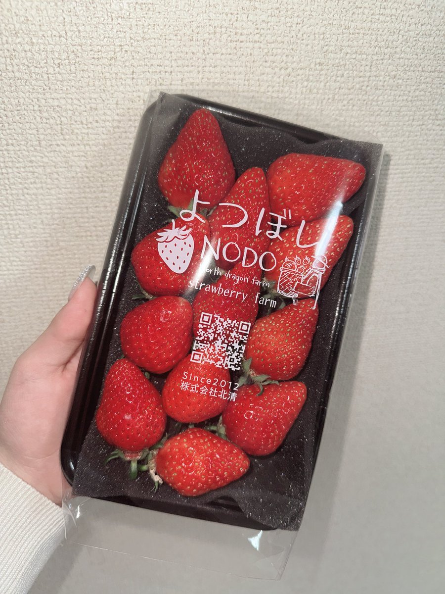 REMIKA (ambitious) tweet media