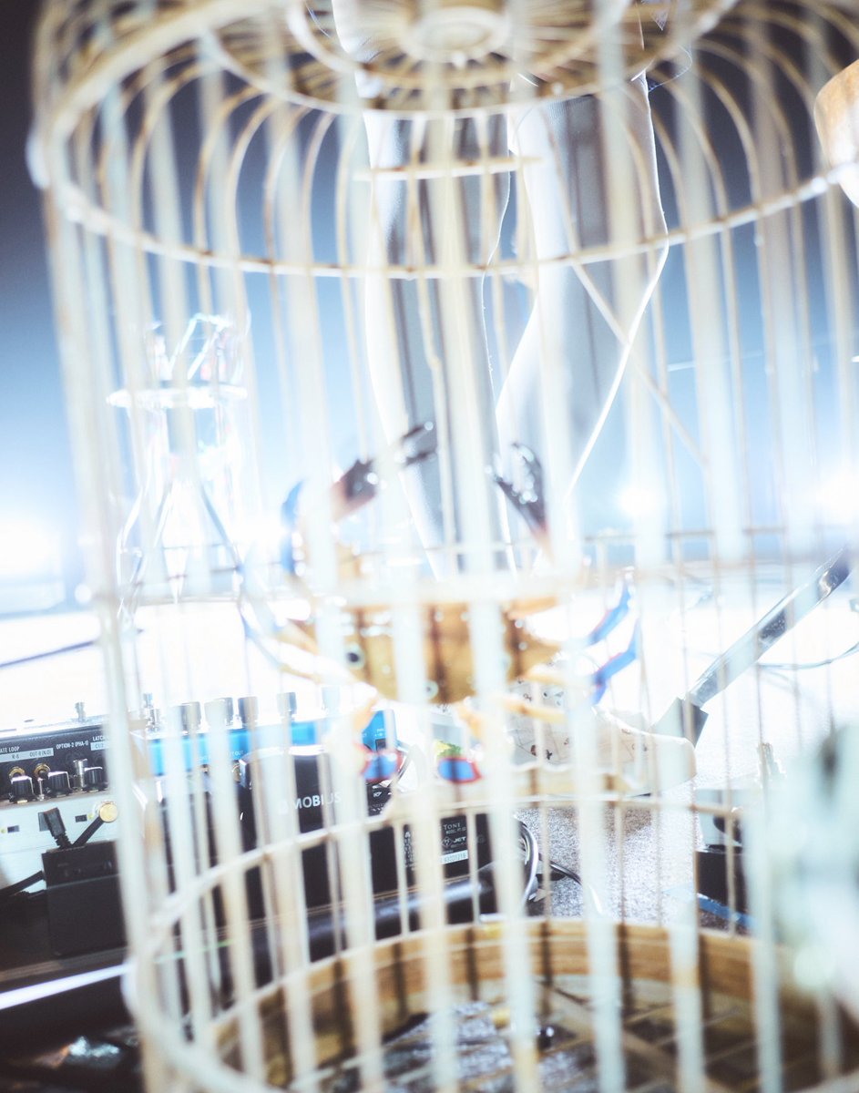 ACAねこスキル (ずっと真夜中でいいのに。) tweet media