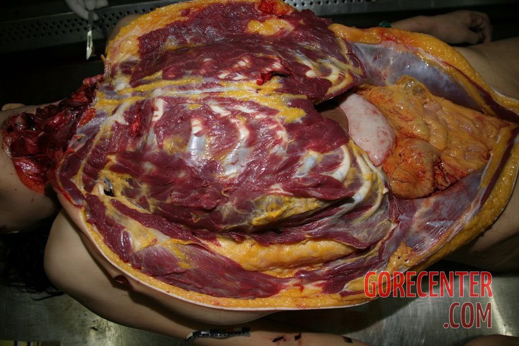 Lena •Goretwt tweet media