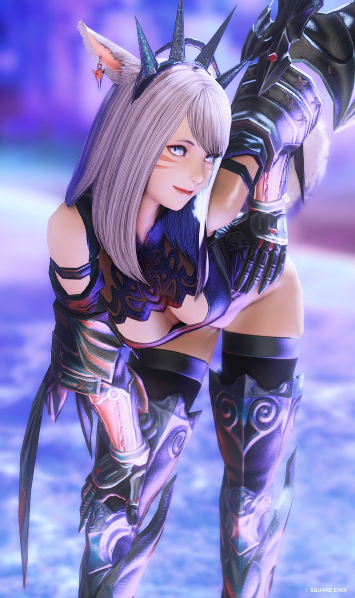 あな🐈🐾 tweet media