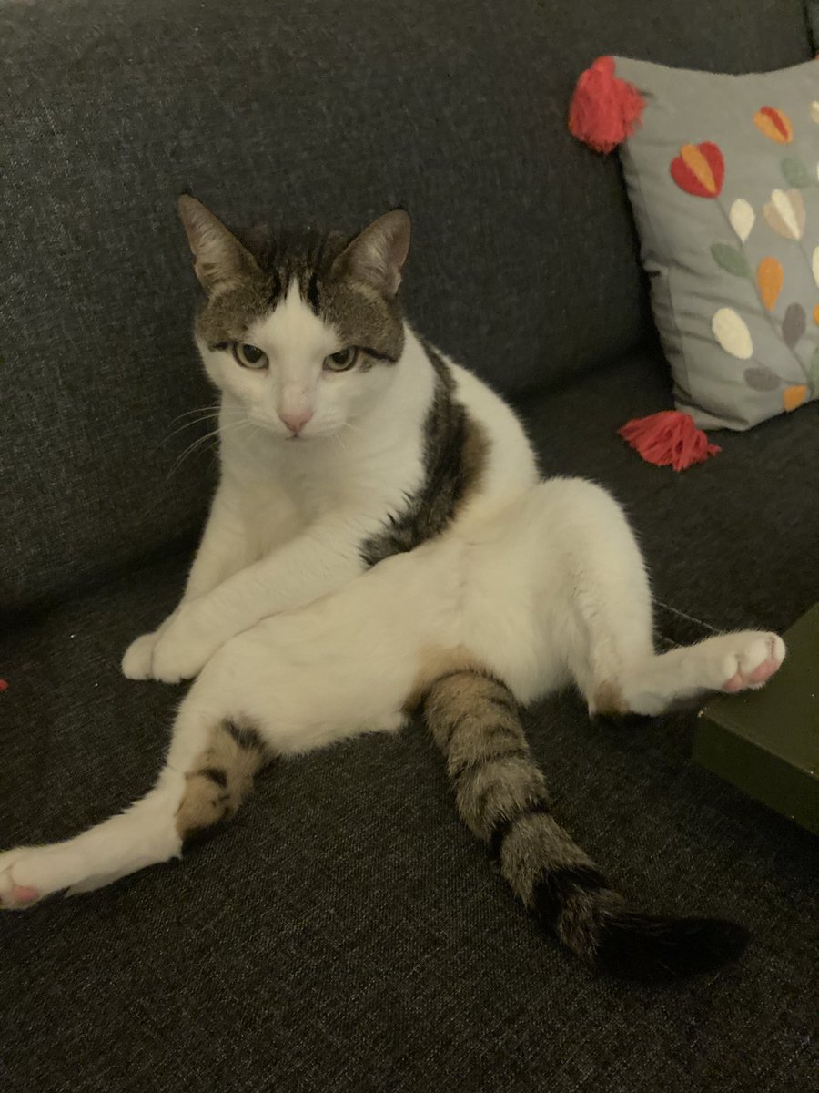 Sefa Sarı tweet media