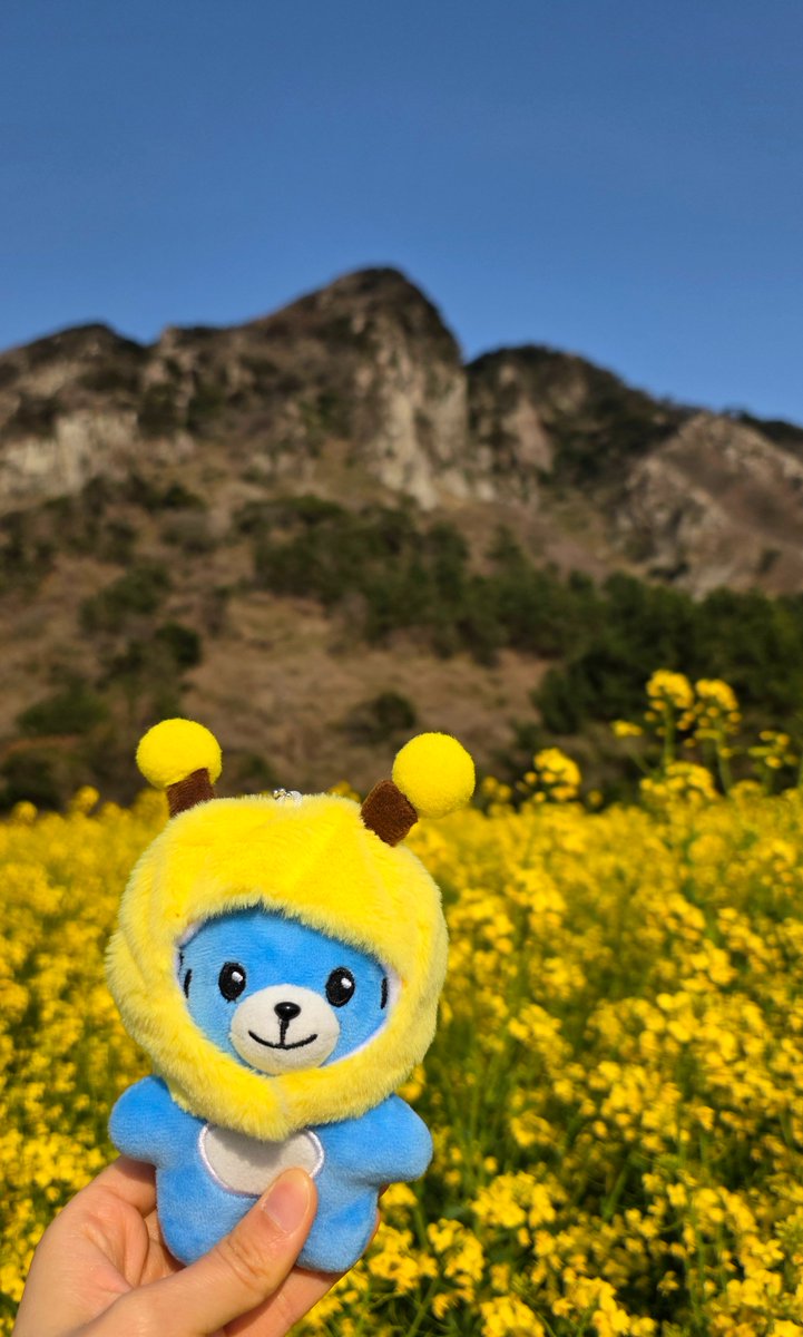 마카롱 tweet media