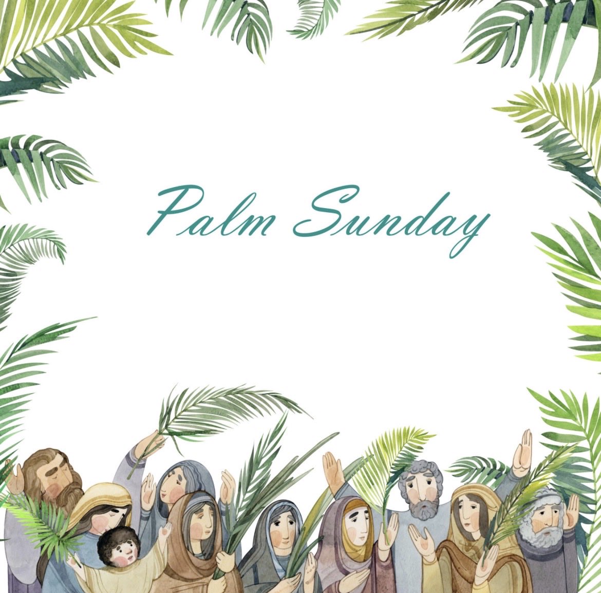 Cate Saunders tweet media