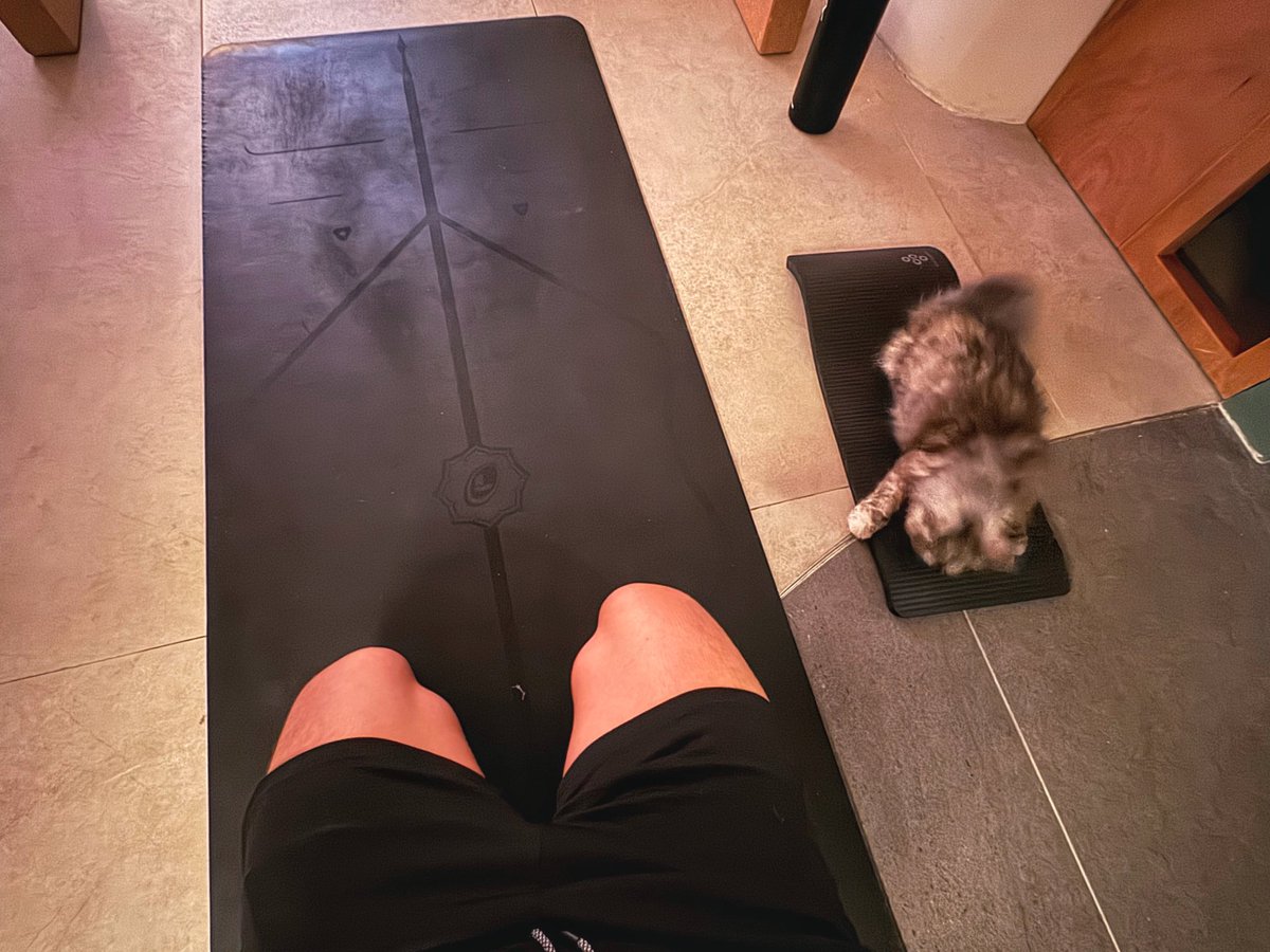 Syd 💗🫶😽 tweet media