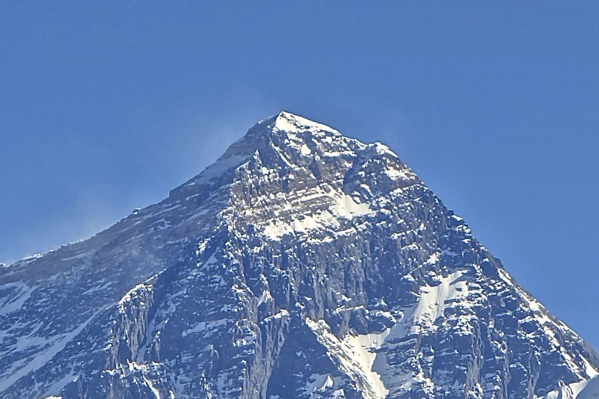 Frogitwo tweet media